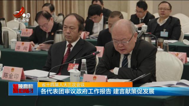 【省十四届人大三次会议】各代表团审议政府工作报告 建言献策促发展