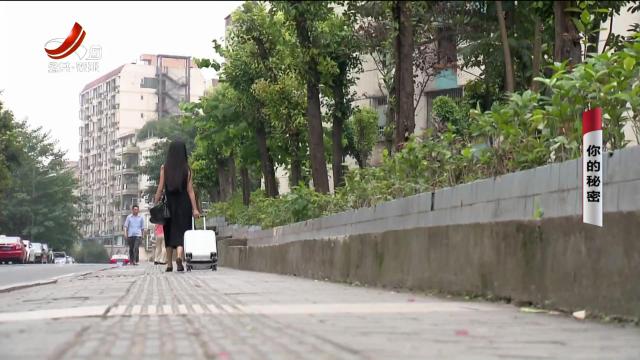 乡村栏目剧场20250119 你的秘密