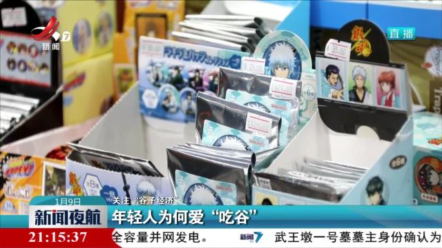 【关注“谷子经济”】年轻人为何爱“吃谷”