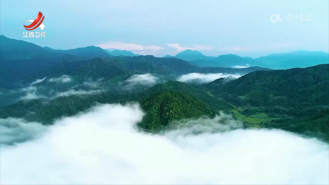 我省4个项目入选全国CCER造林碳汇项目 数量全国第一