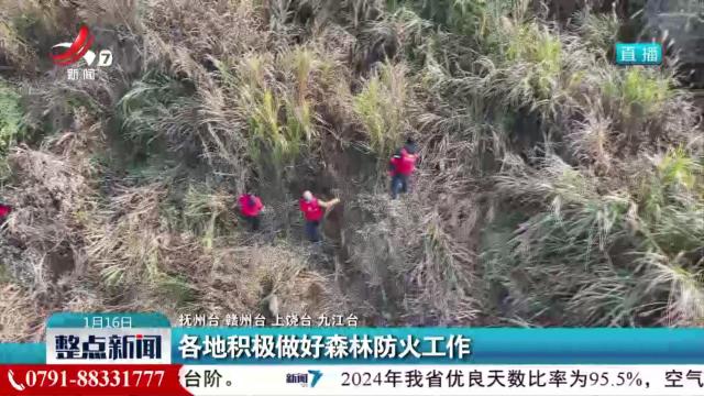 各地积极做好森林防火工作