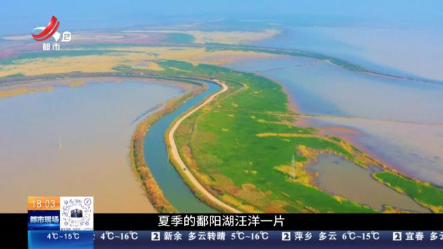 【与江西的100次乡遇】吴城·候鸟小镇