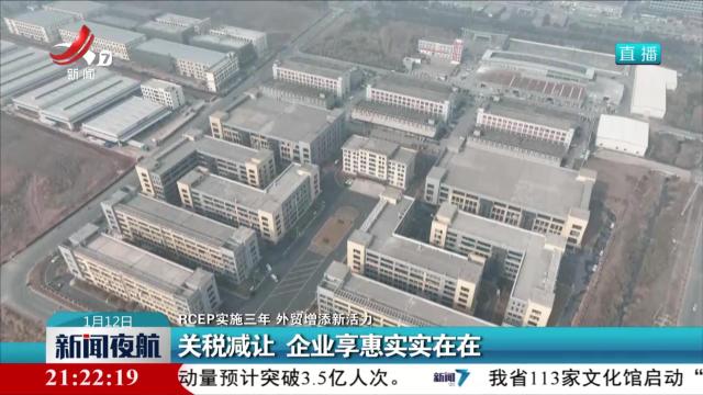【RCEP实施三年 外贸增添新活力】关税减让 企业享惠实实在在
