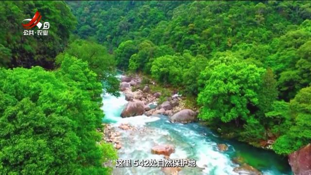 美丽江西在行动20250105 江西鄱阳湖国家级自然保护区：守护候鸟的冬日恋歌