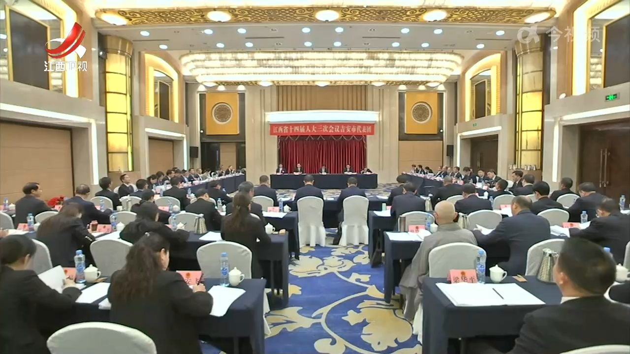 【鼓足干劲 奋勇争先】省人大代表分组审议政府工作报告、省人大常委会工作报告、“两院”工作报告