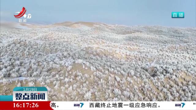 塔克拉玛干沙漠腹地降雪 沙海变雪原