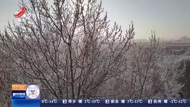 黑龙江富锦：冬日限定 玉树琼枝美如画