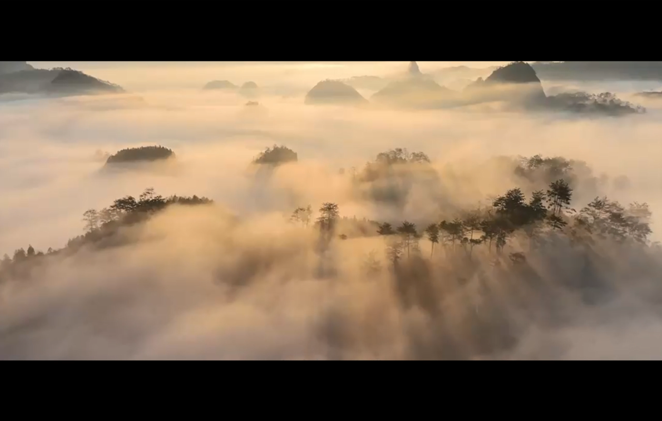 共守一座山：协同立法守护万千生灵