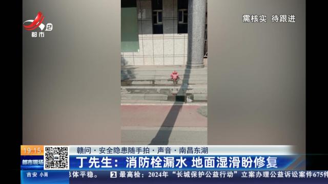 【赣问·安全隐患随东湖进贤】丁先生：消防栓漏水 地面湿滑盼修复