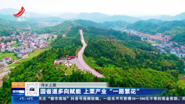 萍乡上栗：国省道多向赋能 上栗产业“一路繁花”