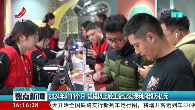 2024年前11个月 规模以上轻工企业实现利润超万亿元