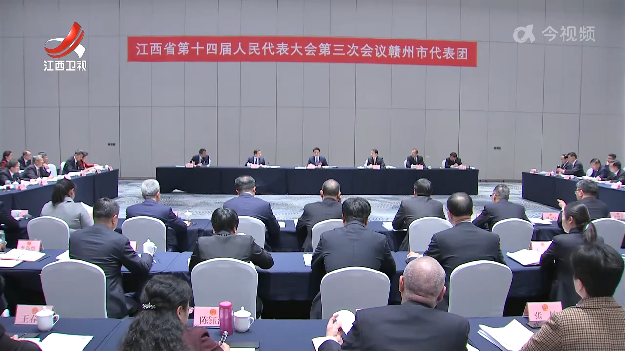 【鼓足干劲 奋勇争先】叶建春在赣州市代表团审议政府工作报告