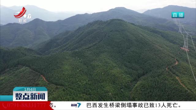 整点新闻20250104 10:00