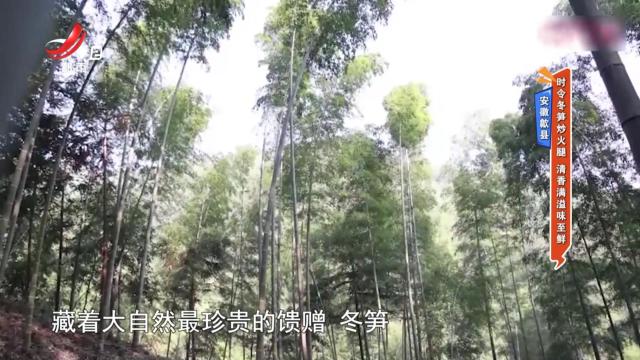 安徽歙县——时令冬笋炒火腿 清香满溢味至鲜