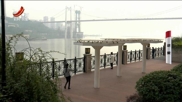 乡村栏目剧场20250107 逆爱