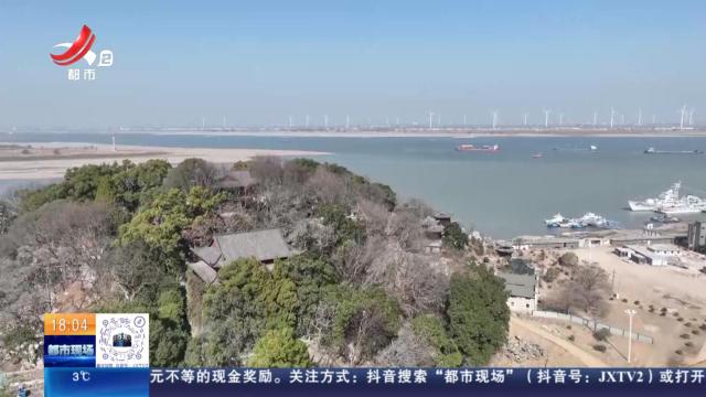 九江湖口：腊梅花开正艳 清香如约而至