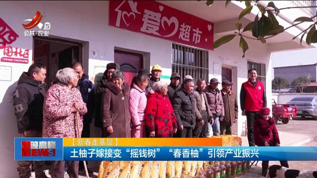 【新春走基层】土柚子嫁接变“摇钱树” “春香柚”引领产业振兴
