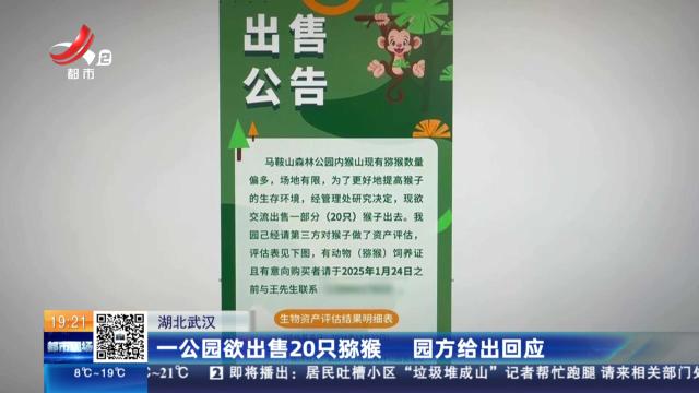 湖北武汉：一公园欲出售20只猕猴 园方给出回应