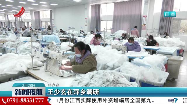 王少玄在萍乡调研