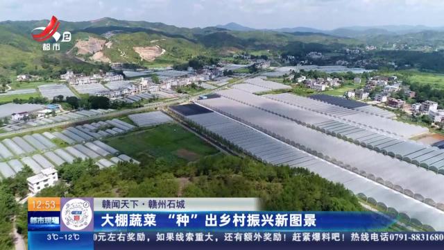 【赣闻天下】赣州石城：大棚蔬菜 “种”出乡村振兴新图景
