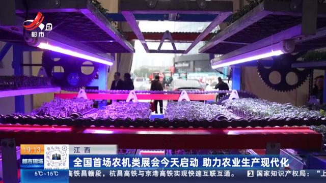 都市现场20250215