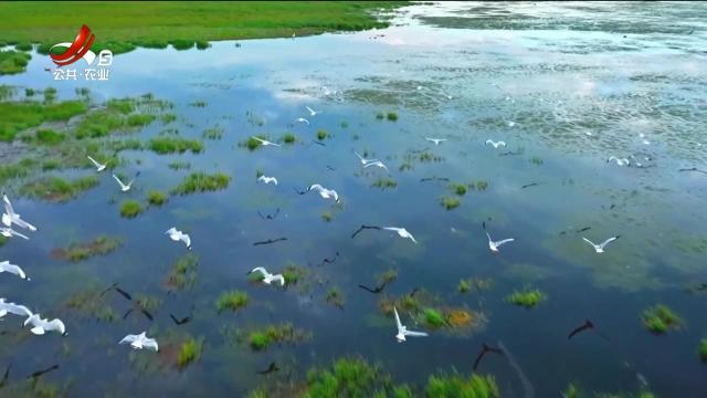 新闻晚高峰20250206