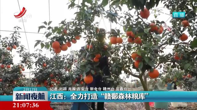 江西：全力打造“赣鄱森林粮库”