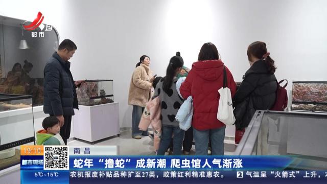 南昌：蛇年“撸蛇”成新潮 爬虫馆人气渐涨