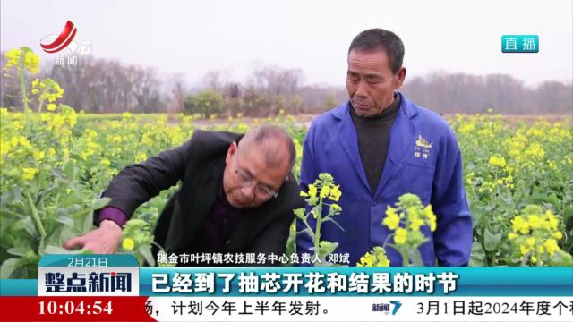 抢抓农时 做好春季田管