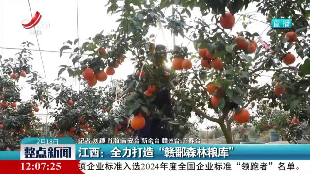江西：全力打造“赣鄱森林粮库”