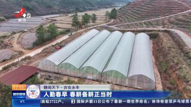【赣闻天下】吉安永丰：人勤春早 春耕备耕正当时