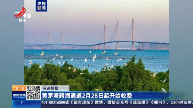 黄茅海跨海通道2月28日起开始收费