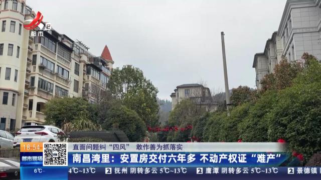 都市现场20250212