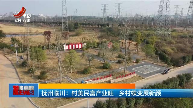 新闻晚高峰20250214