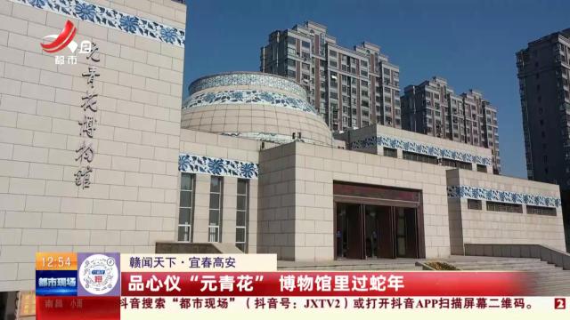 【赣闻天下】宜春高安：品心仪“元青花” 博物馆里过蛇年