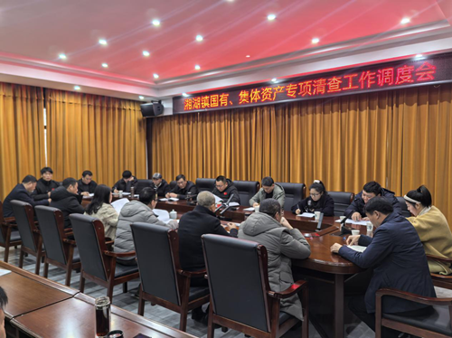 浮梁县湘湖镇召开国有、集体资产专项清查工作调度会