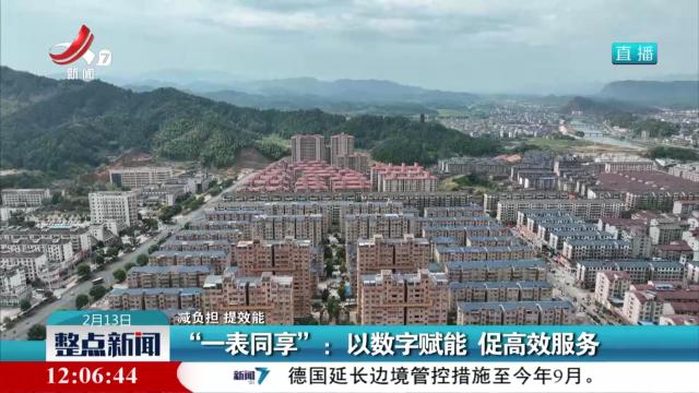 【减负担 提效能】“一表同享”：以数字赋能 促高效服务