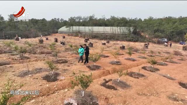 新闻晚高峰20250203