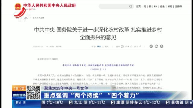 【聚焦2025年中央一号文件】重点强调“两个持续” “四个着力”