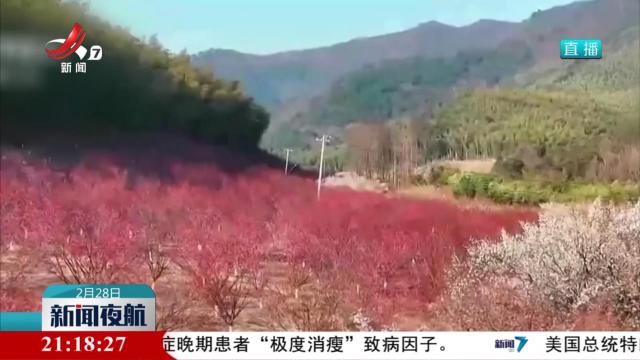 新闻夜航20250228