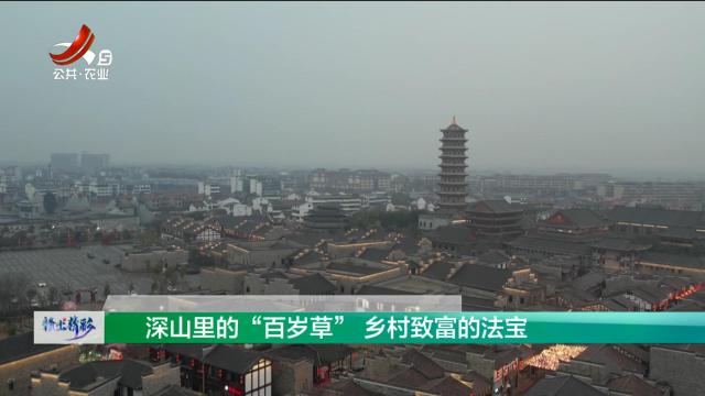 赣出精彩20250214