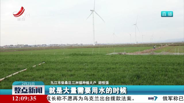 整点新闻20250221 12：00