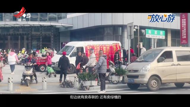 都市放心游20250202