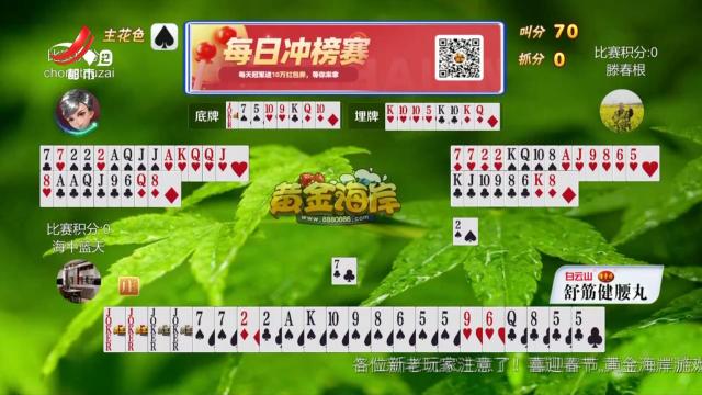 谁是赢家20250215