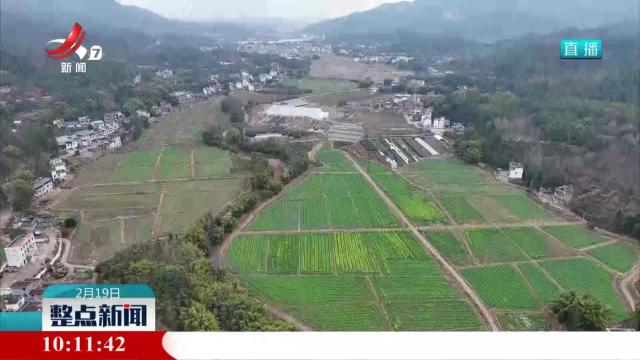 备种子修农机 各地积极开展春耕备耕