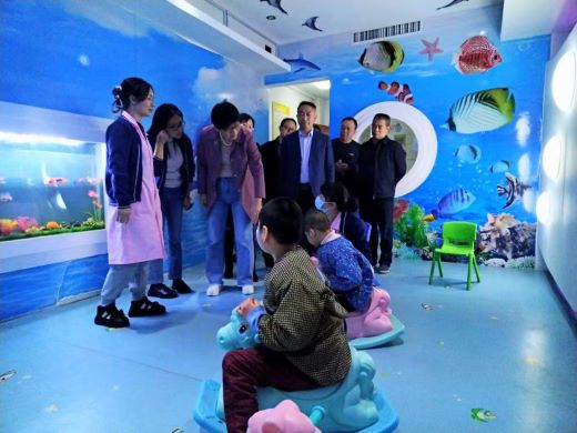 硕果累累辞旧岁 凝心聚力谱新篇——宜春市残联2024年工作亮点纷呈