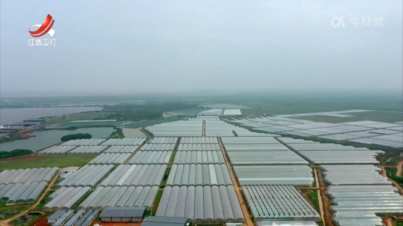 江西新闻联播20250210