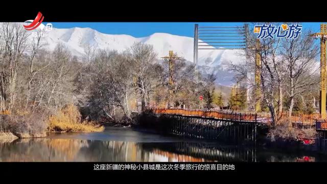 都市放心游20250223