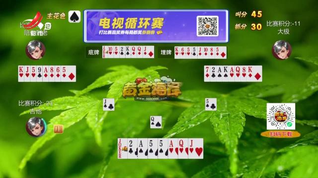 谁是赢家20250225