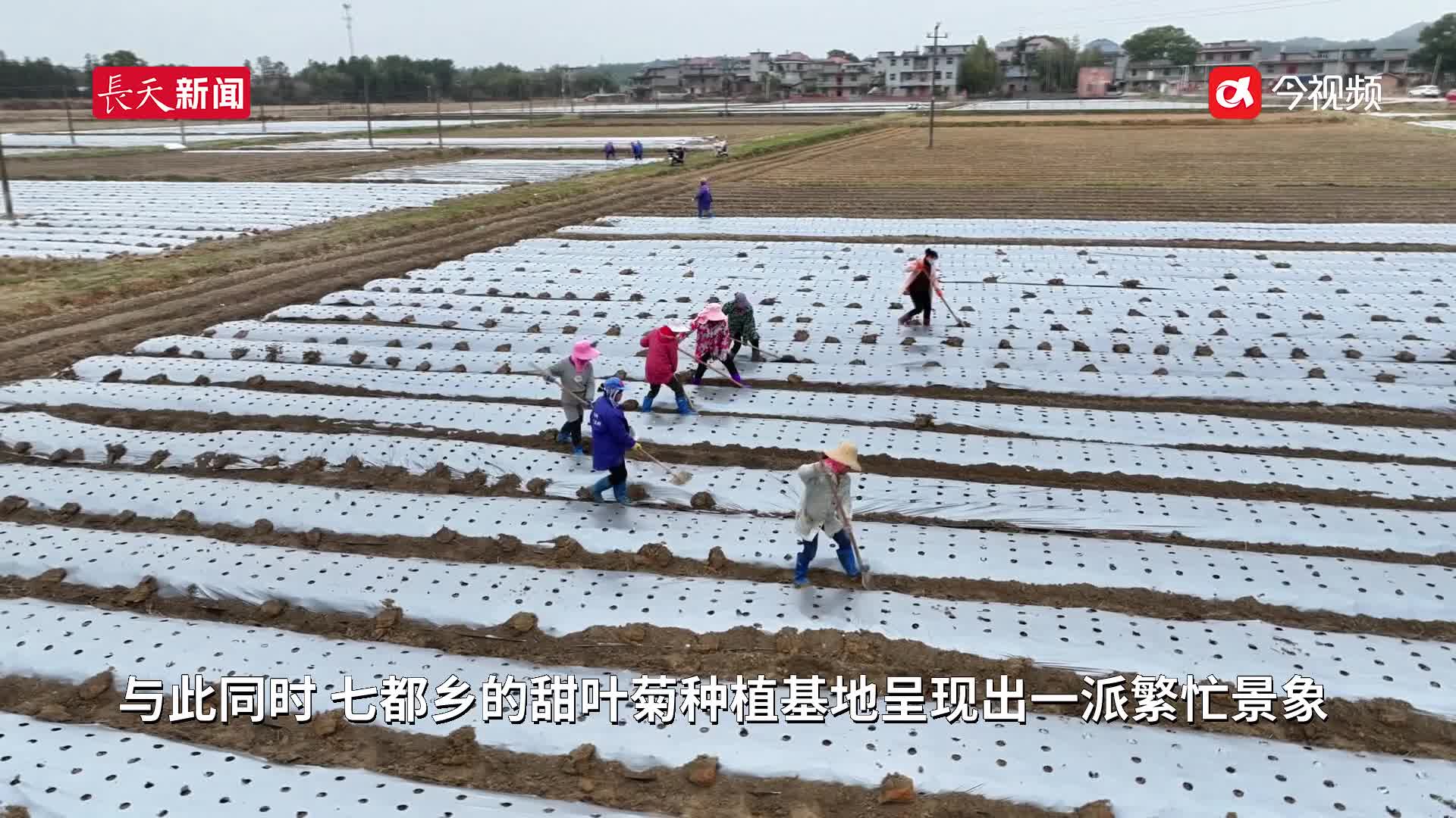 江西吉安：科技助力春耕 勤劳播种希望